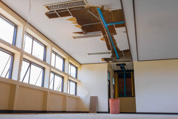 Best Water damage restoration insurance claims  in Atkinson, NE