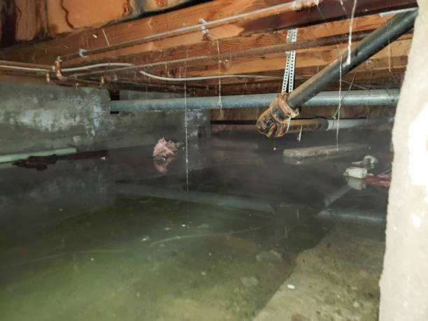 Best 24-hour water damage restoration  in Atkinson, NE