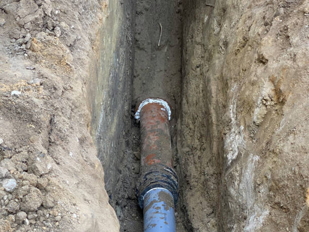 Best Professional water damage repair  in Atkinson, NE