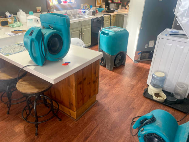 Best Mold removal after water damage  in Atkinson, NE