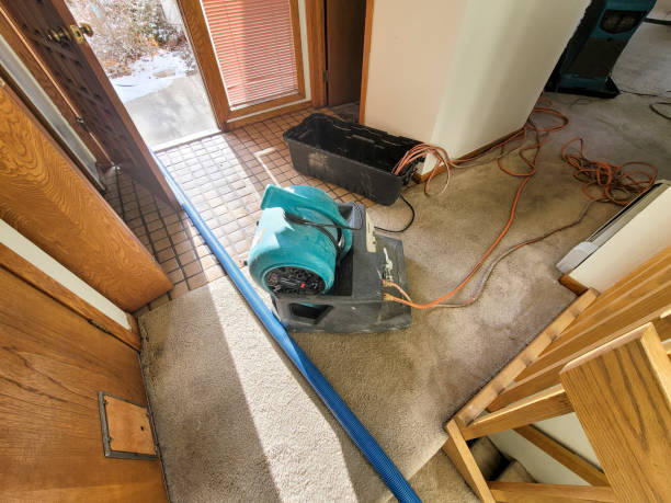 Best Flooded house restoration  in Atkinson, NE
