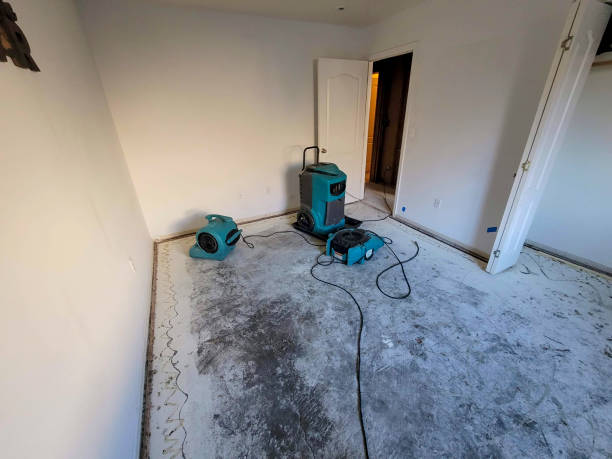 Best Water damage restoration near me  in Atkinson, NE