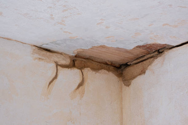 Best Commercial water damage restoration  in Atkinson, NE