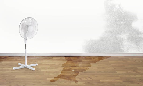 Best 24/7 water damage repair  in Atkinson, NE
