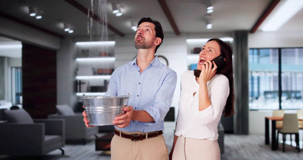 Best Professional water damage repair  in Atkinson, NE